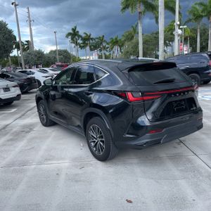 2023 Lexus NX 250 BASE — фото 5