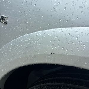 2019 Infiniti QX80 LUXE — фото 56