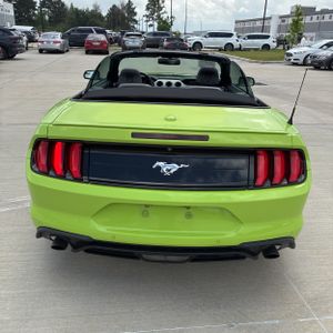 FORD MUSTANG ECOBOOST PREMIUM - 7