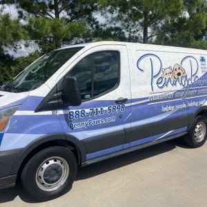 FORD TRANSIT 150 - 2