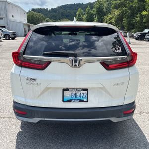 2020 Honda CR-V EX-L 照片 7