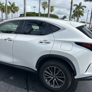 2023 Lexus NX 250 BASE 照片 6