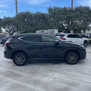 2023 Lexus NX 250 BASE — фото 10