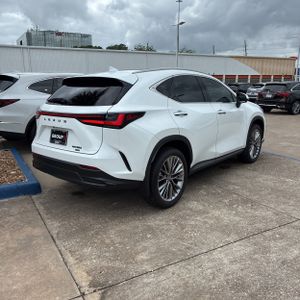 LEXUS NX 350 LUXURY - 7