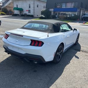FORD MUSTANG ECOBOOST PREMIUM - 8
