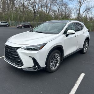 LEXUS NX 350H LUXURY - 1
