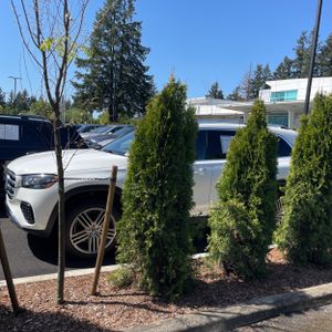 MERCEDES-BENZ GLS - 3