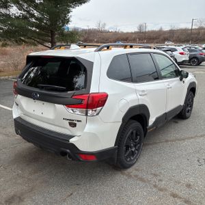 SUBARU FORESTER WILDERNESS - 8