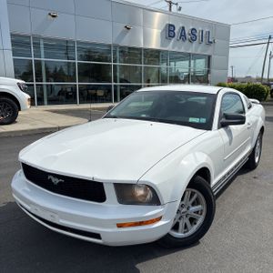 FORD MUSTANG BASE - 1