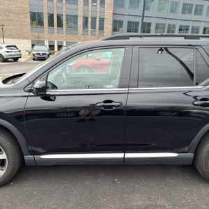 HONDA PILOT ELITE - 4