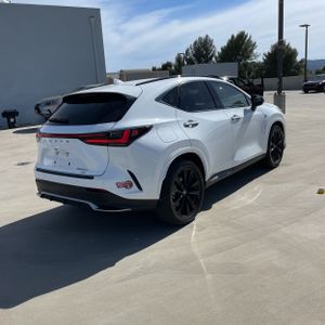 LEXUS NX 450H+ F SPORT HANDLING - 8