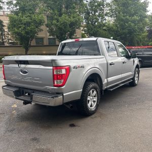 FORD F-150 XL - 8