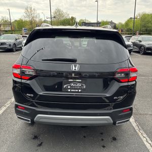 HONDA PILOT ELITE - 7