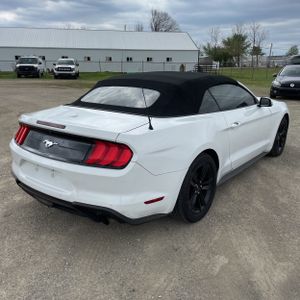 FORD MUSTANG ECOBOOST PREMIUM - 8