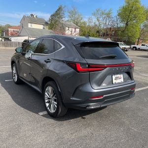 LEXUS NX 350 LUXURY - 5
