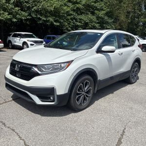 2020 Honda CR-V EX-L 照片 1