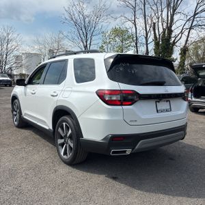 HONDA PILOT ELITE - 5