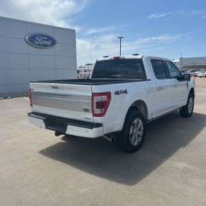 FORD F-150 PLATINUM - 8