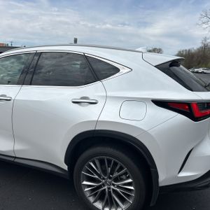 LEXUS NX 350H LUXURY - 6