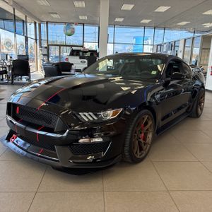 FORD MUSTANG SHELBY GT350R - 1