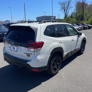 SUBARU FORESTER WILDERNESS - 8