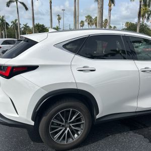 2023 Lexus NX 250 BASE 照片 9