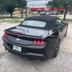 FORD MUSTANG ECOBOOST - 7