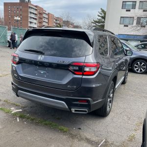 HONDA PILOT ELITE - 8