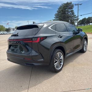 LEXUS NX 350 LUXURY - 8