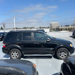 2002 Mercedes-BENZ M-CLASS 照片 10
