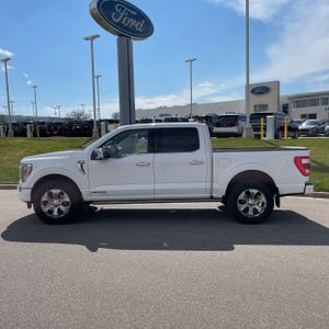 FORD F-150 PLATINUM - 3
