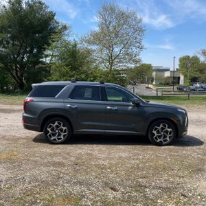 HYUNDAI PALISADE CALLIGRAPHY - 10