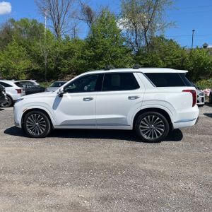 HYUNDAI PALISADE CALLIGRAPHY - 3