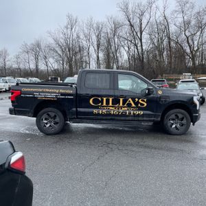 FORD F-150 LIGHTNING LARIAT - 10