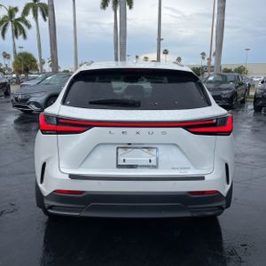 2024 Lexus NX 350 PREMIUM — фото 7