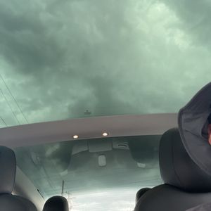 2020 Tesla MODEL 3 STANDARD RANGE — миниатюра 40