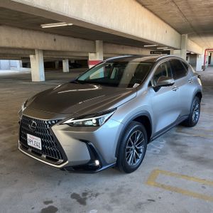 2025 Lexus NX 350 PREMIUM — фото 1