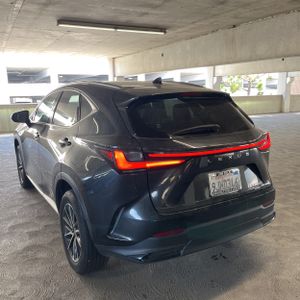 2024 Lexus NX 350H PREMIUM 照片 5