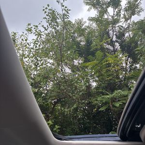 صورة مصغرة 35 لـ 2016 Honda CR-V EX-L