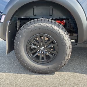 2025 FORD F-150 RAPTOR thumbnail 19