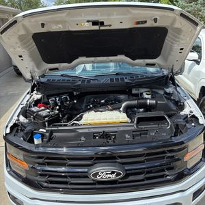 صورة مصغرة 49 لـ 2025 FORD F-150 XLT