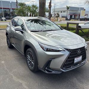 2025 Lexus NX 350H PREMIUM 照片 7
