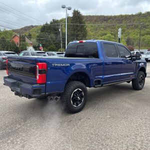 FORD F-250 SUPER DUTY PLATINUM - 8