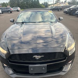 2015 FORD MUSTANG V6 照片 15