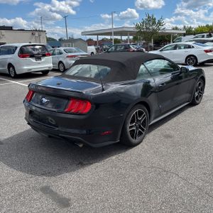 FORD MUSTANG ECOBOOST PREMIUM - 8