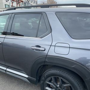 HONDA PILOT ELITE - 6