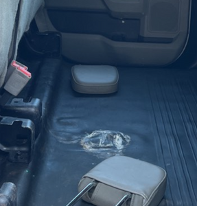 صورة مصغرة 66 لـ 2020 FORD F-150 XL