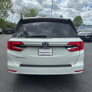 HONDA ODYSSEY ELITE - 7