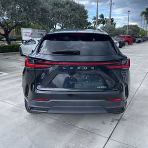 2023 Lexus NX 250 BASE — фото 7