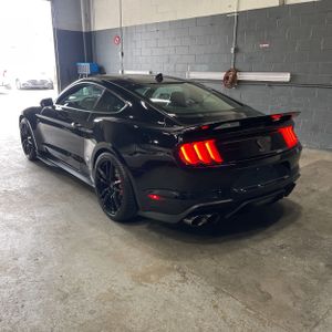 FORD MUSTANG SHELBY GT500 - 5